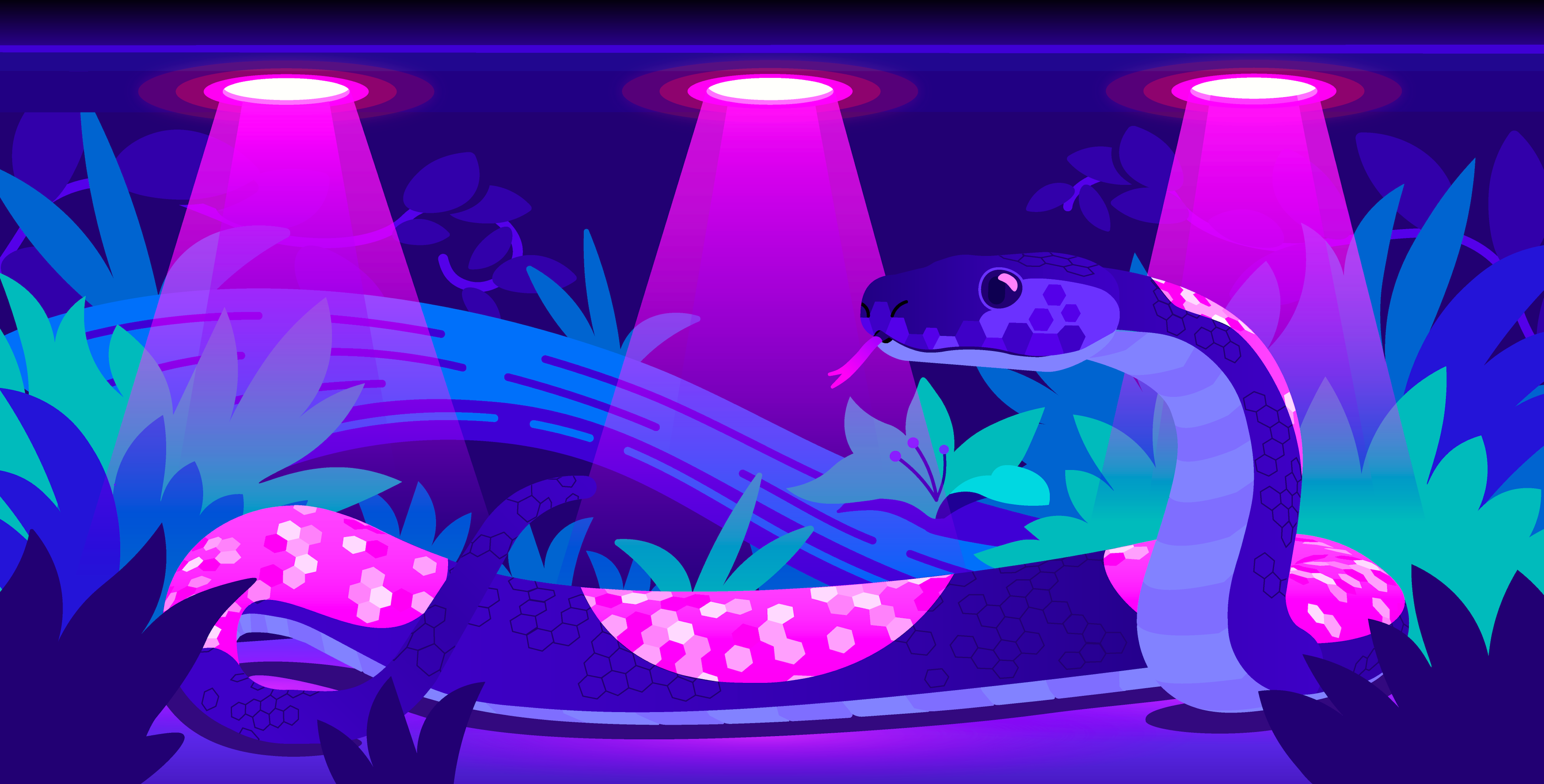 Finding malicious PyPI packages through static code analysis: Meet ...