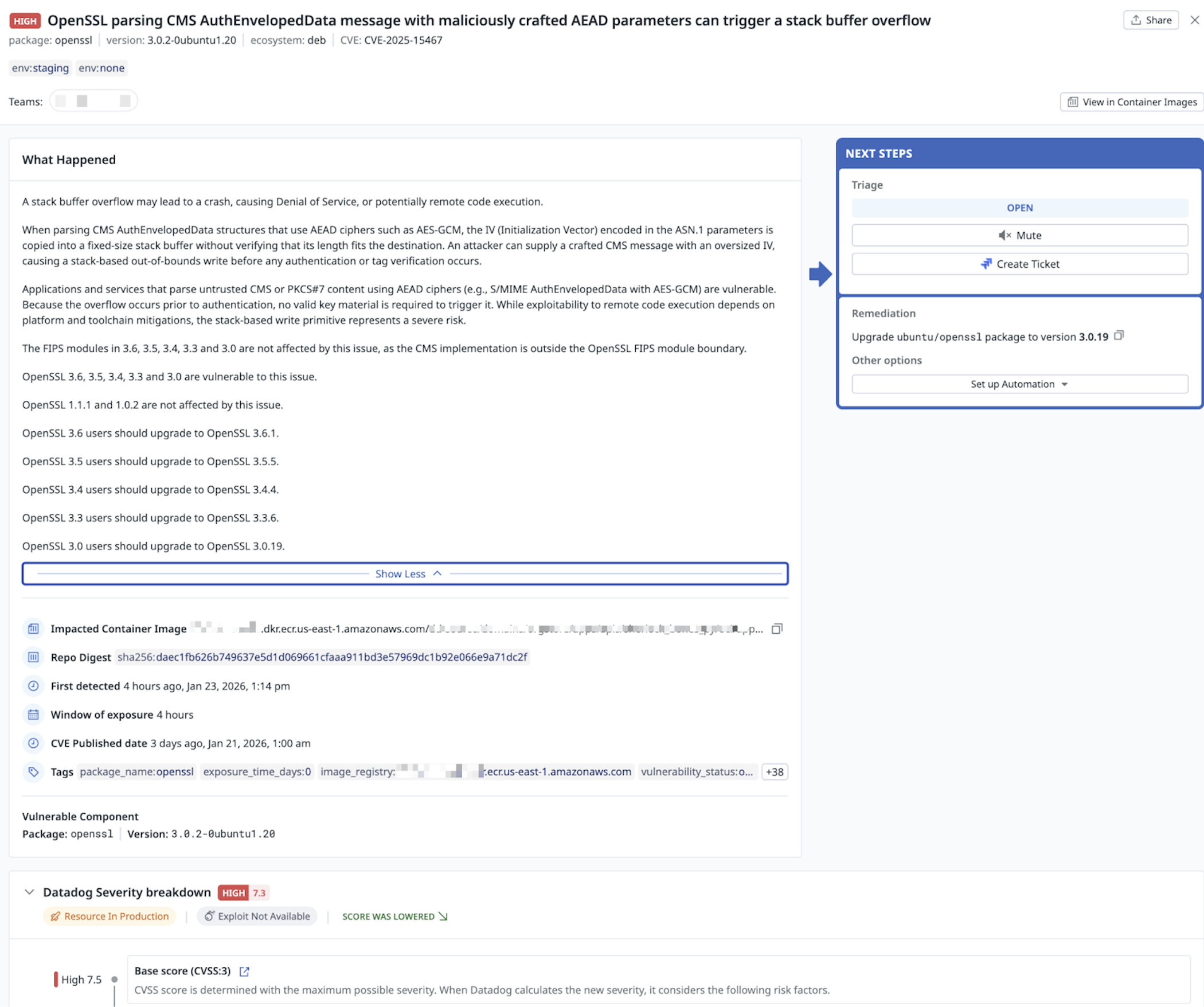 Example finding in Datadog Cloud Vulnerability Management (click to enlarge)