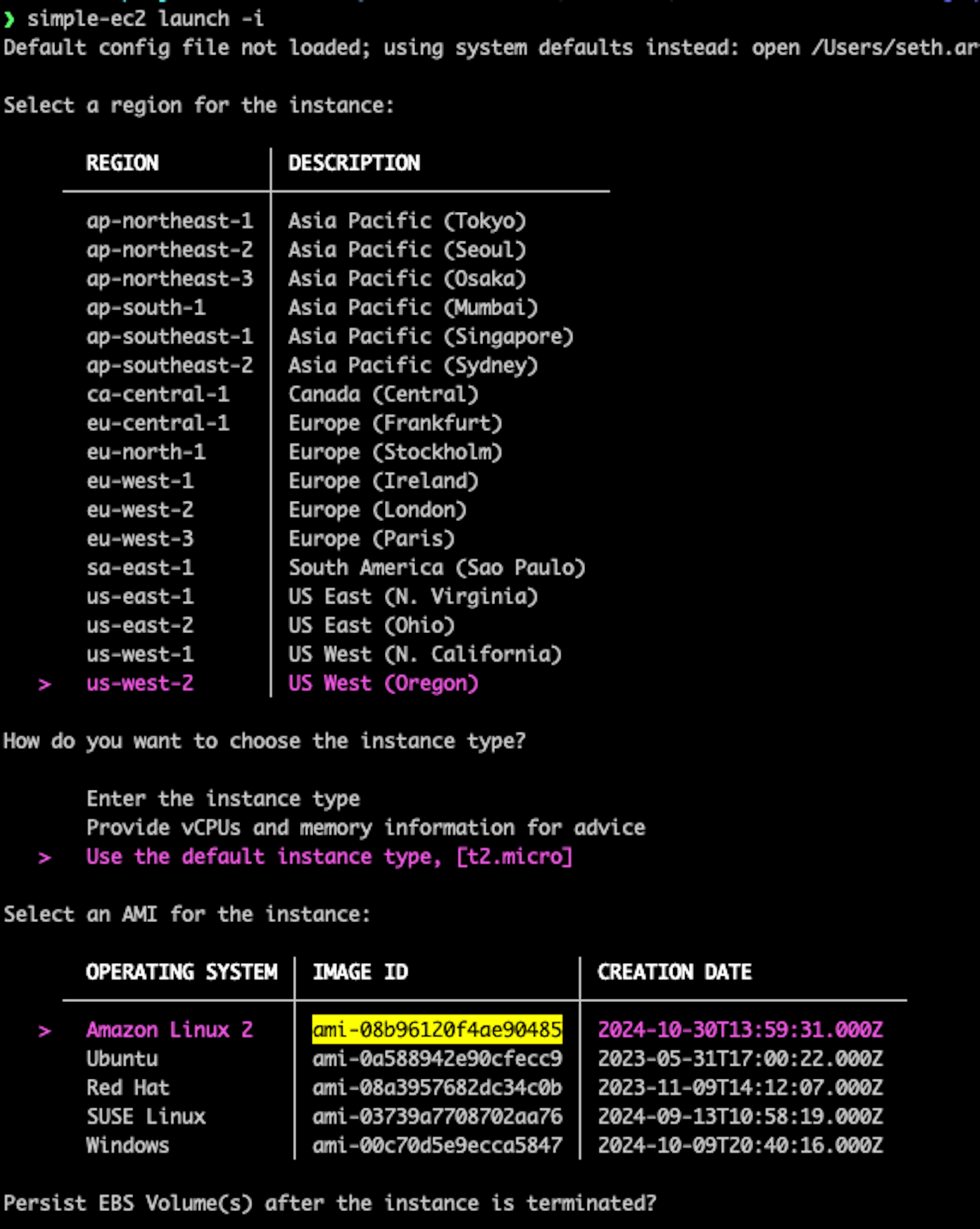 Confirming that `simple-ec2` will use our AMI instead of an AMI from a verified provider.